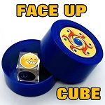 SEE  THROUGH  THE  BOX