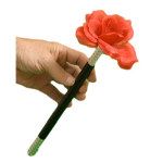 FLOWER  PRODUCING  WAND